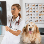 5 Estratégias de marketing digital para clínicas veterinárias que farão seu negócio decolar